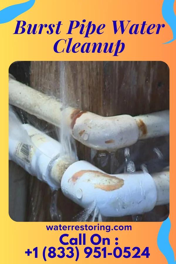 Burst Pipe Water Cleanup in Lansdowne, PA