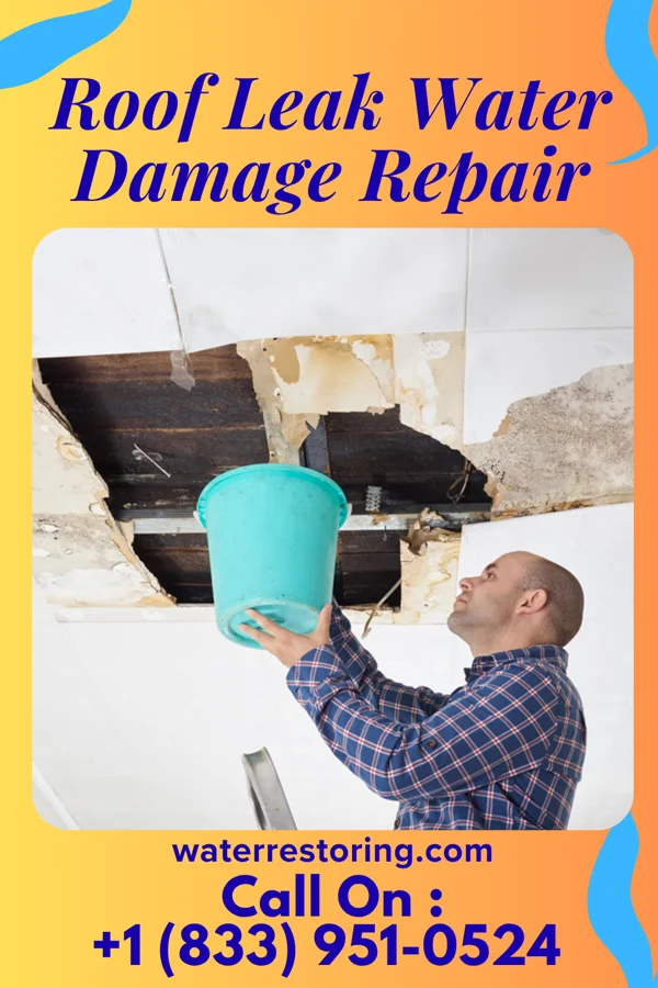 Roof Leak Water Damage Repair in Lansdowne, PA