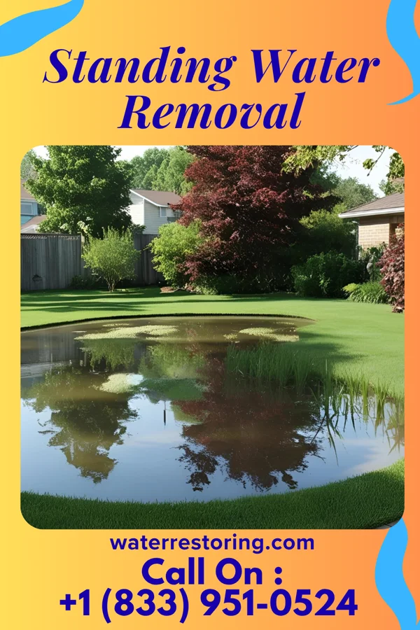 Standing Water Removal in Lansdowne, PA